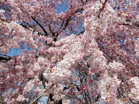 遊び場検索結果 あいち はぐみんnet