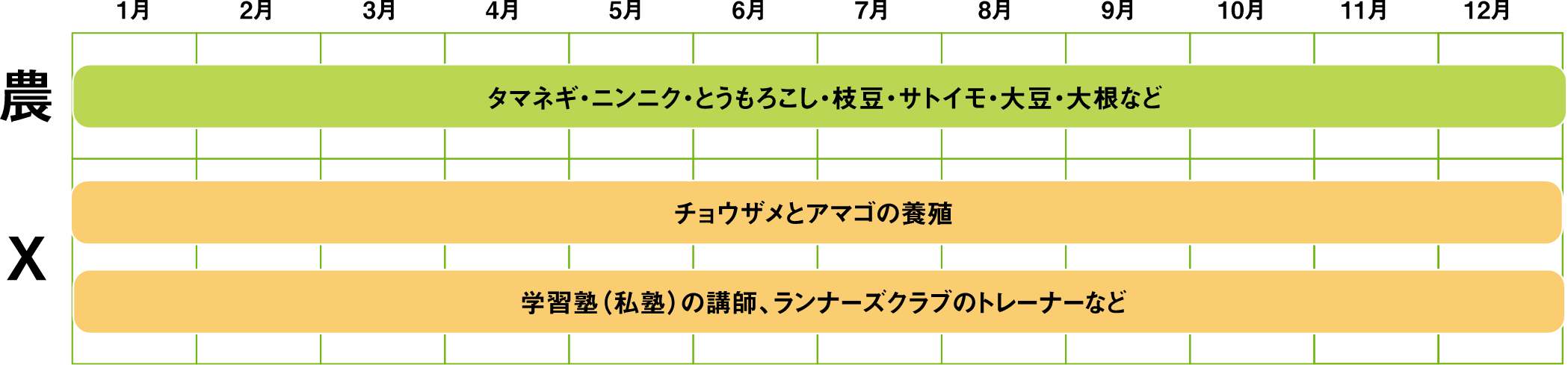 タマネギ・ニンニク・とうもろこし・枝豆・里芋・大豆・大根など：1月〜12月、チョウザメとアマゴの養殖：1月〜12月、学習塾（私塾）の講師、ランナーズクラブのトレーナーなど：1月〜12月