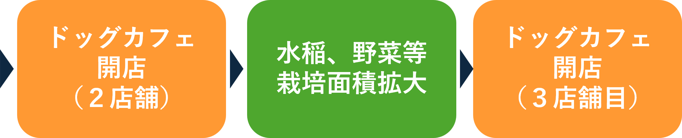その後、ドッグカフェを２店舗開店し、栽培面積も徐々に拡大。2025年には３店舗めのドッグカフェを開店。スマートフォン用