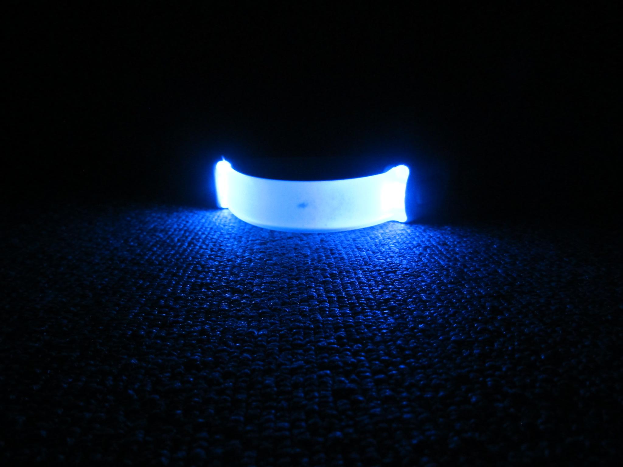 IMG4379.JPG