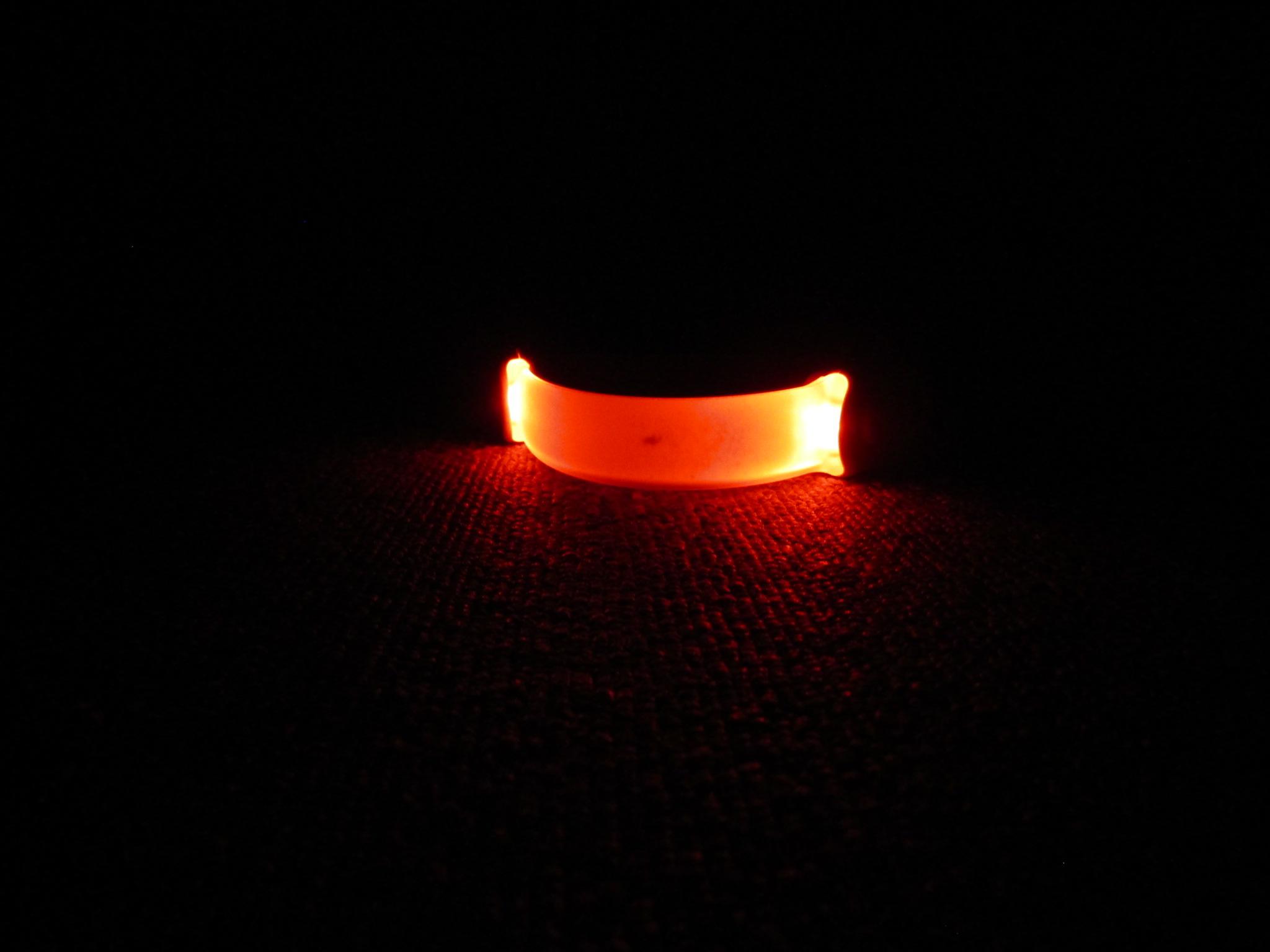 IMG4380.JPG