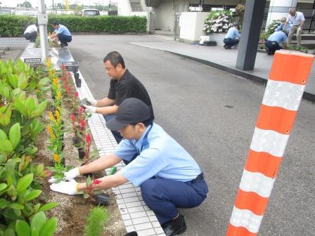 署員が花苗の植え付けを行っている様子