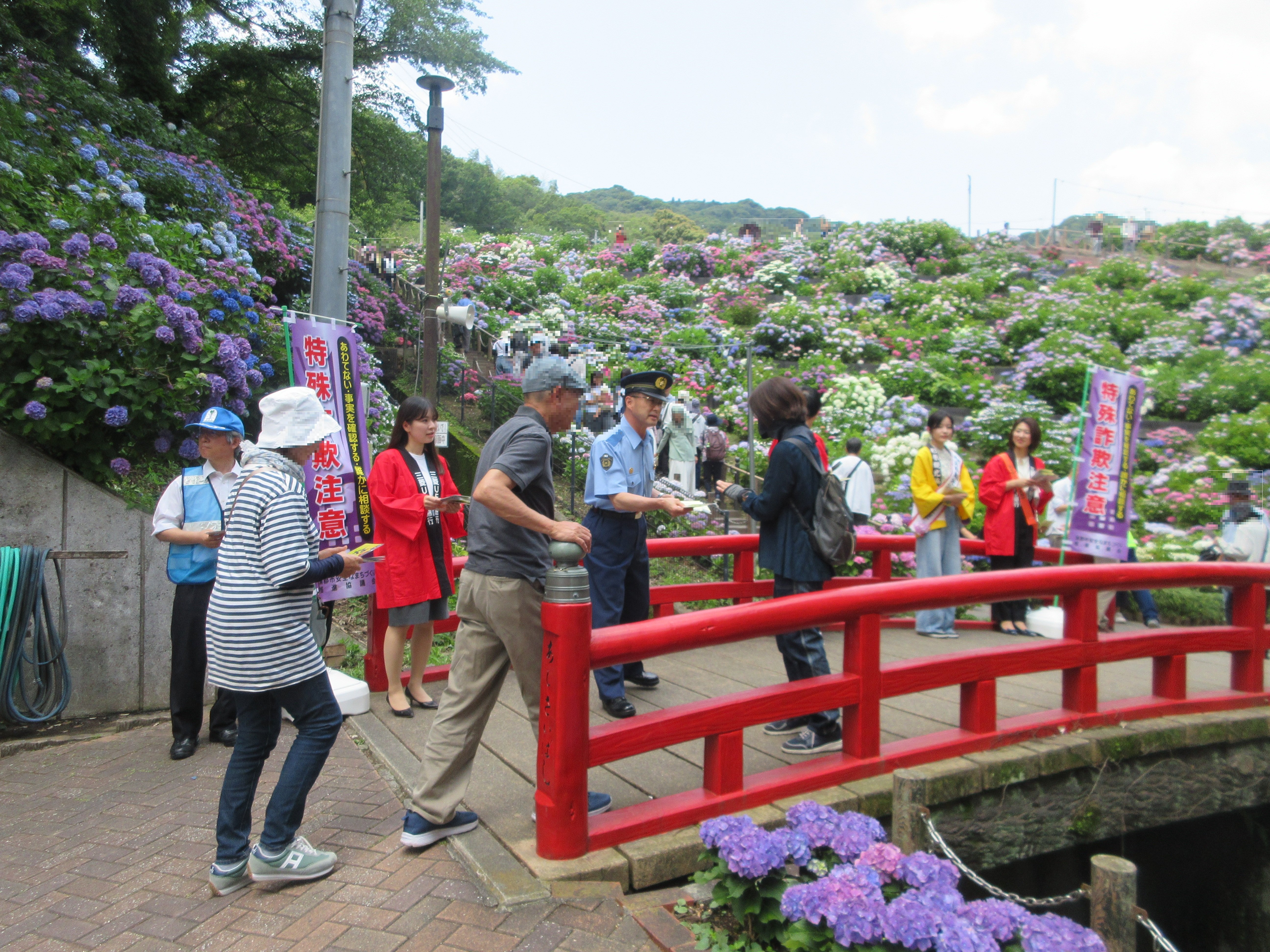 6.12ajisaimaturi