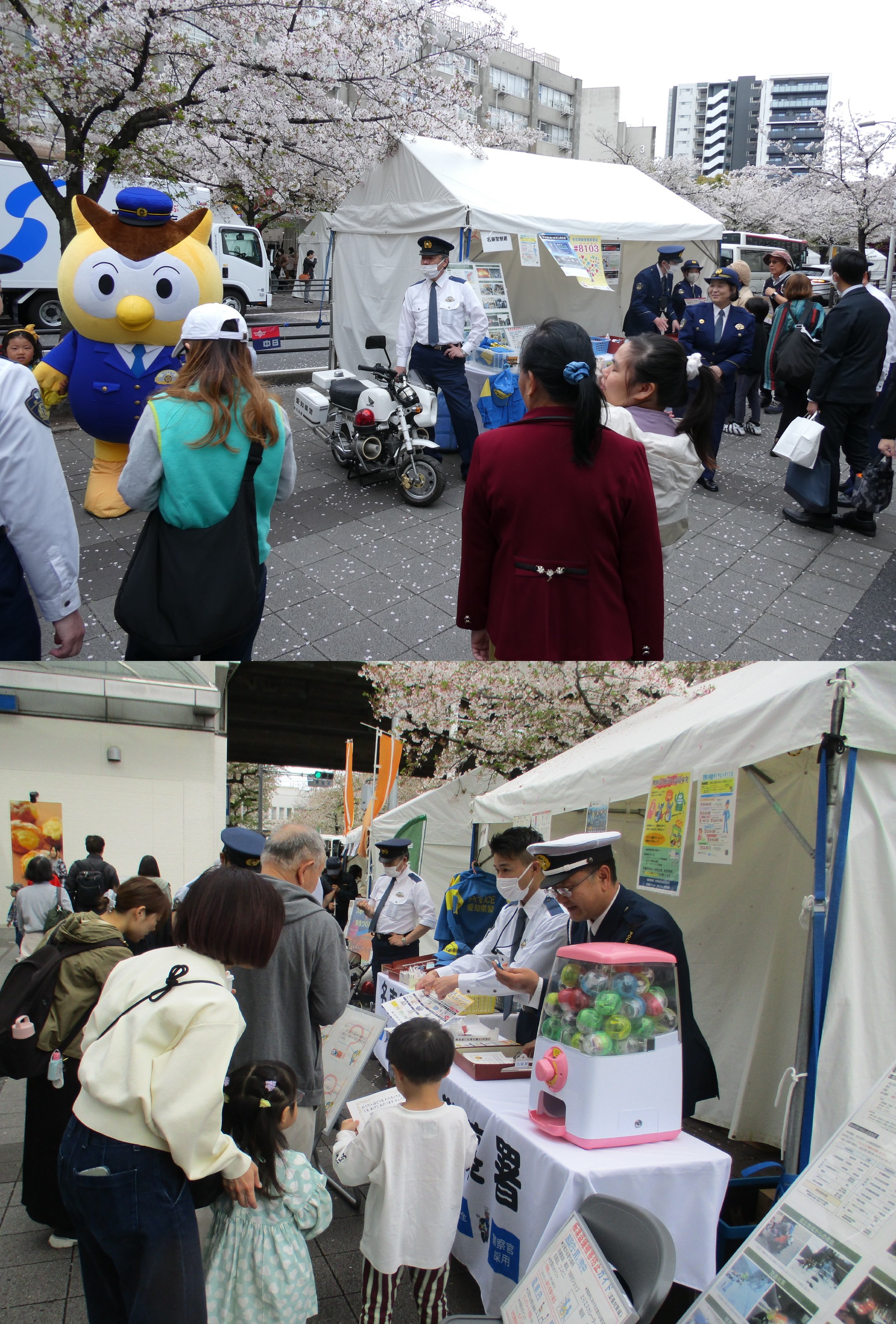 藤が丘さくらまつり両日の模様