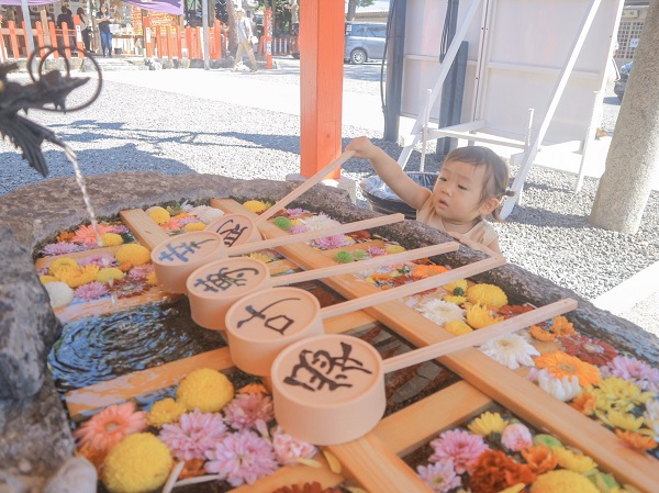 初めての神社に大興奮