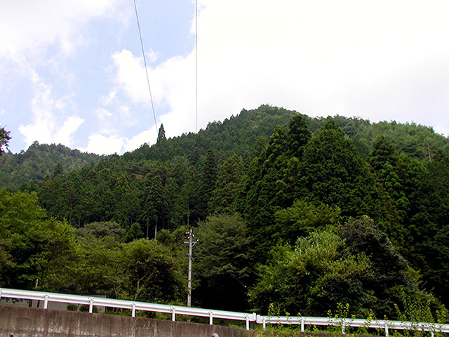 8月の白鳥山