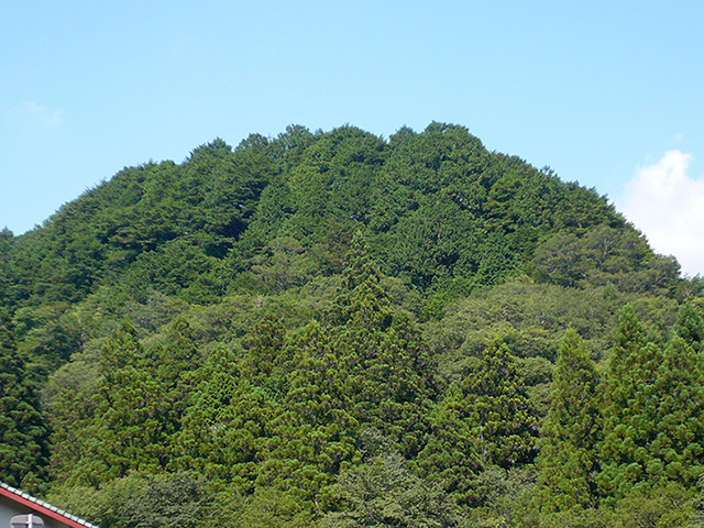 8月の砦山