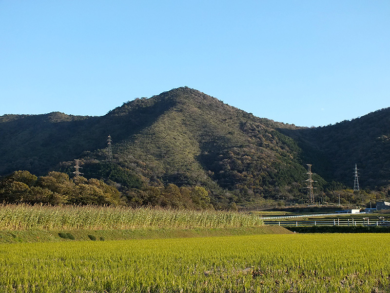 中宇利から見た雨生山全景