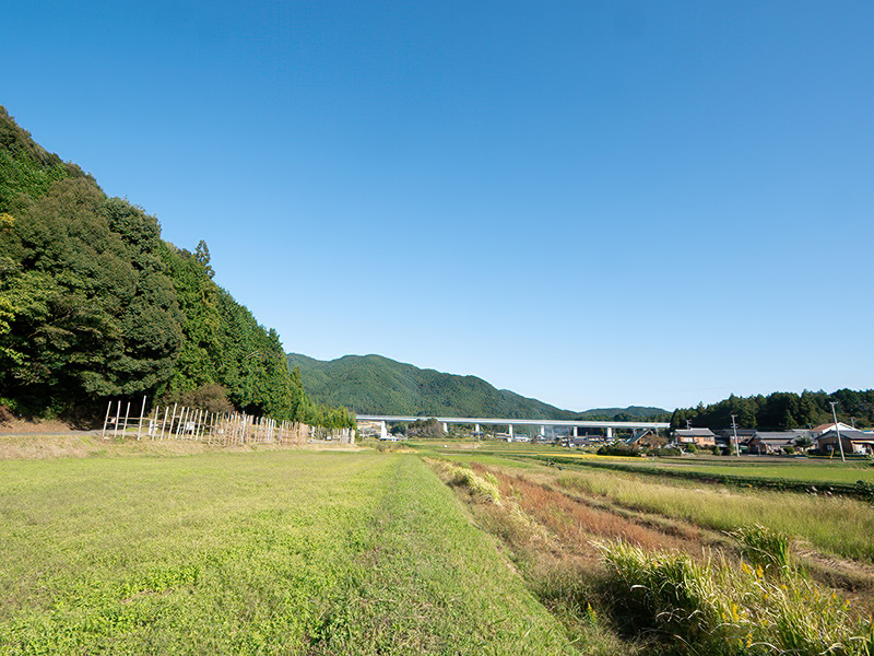 設楽原の馬防柵と河岸段丘