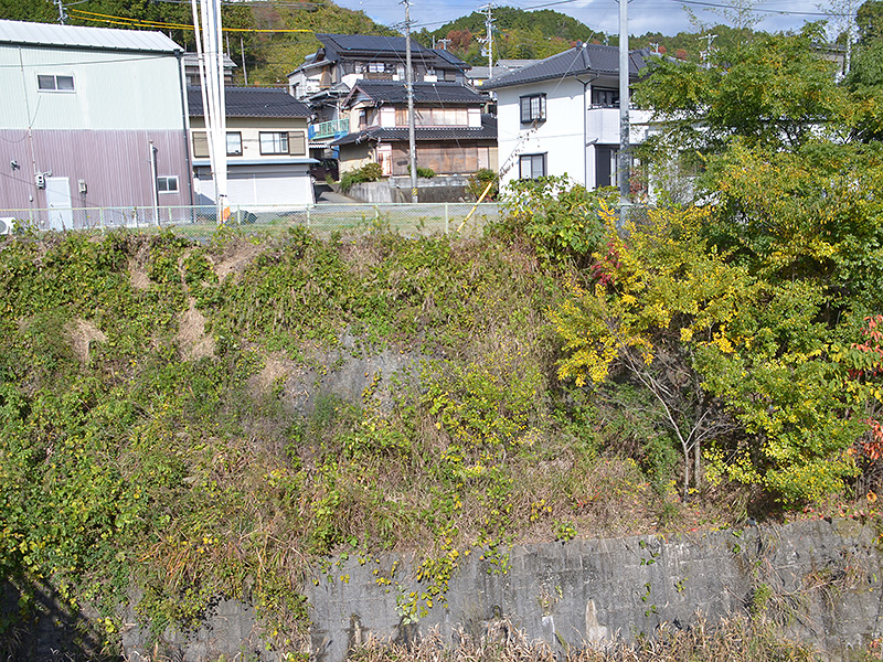 大井川河岸より