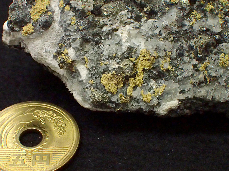 鳳来寺山自然科学博物館所蔵の金鉱石