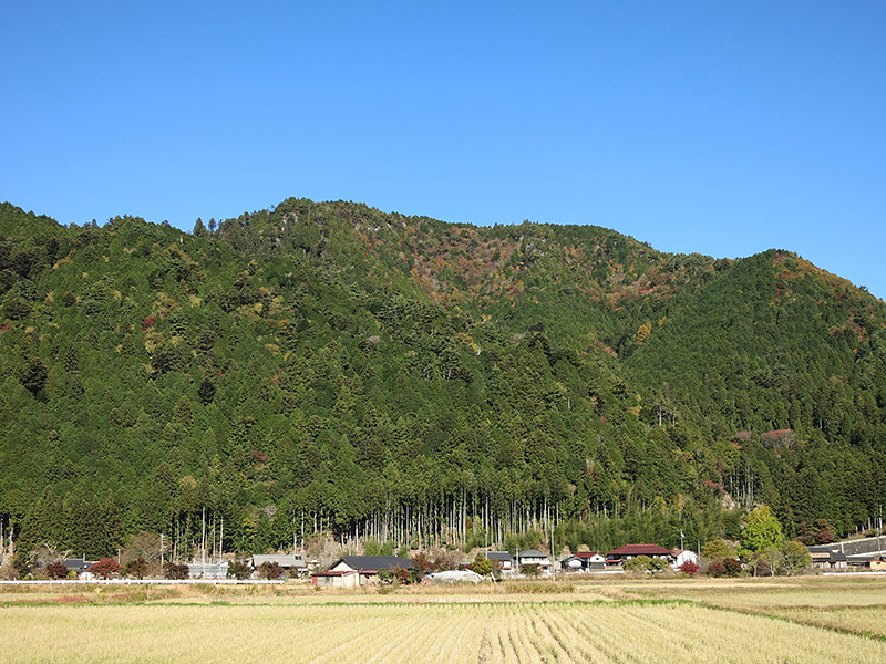 麓より見た白鳥山