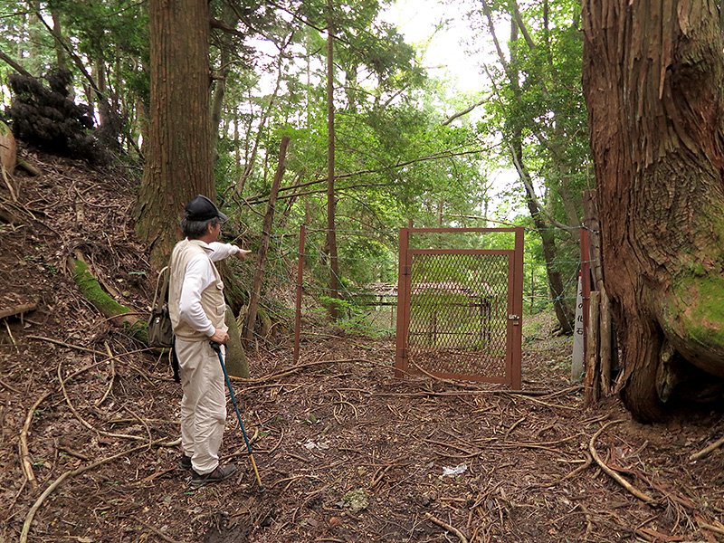 設楽町側より見た柴石峠