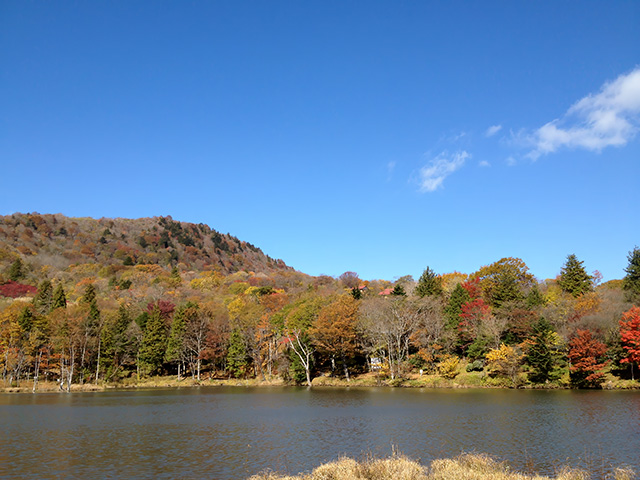 秋の矢筈池