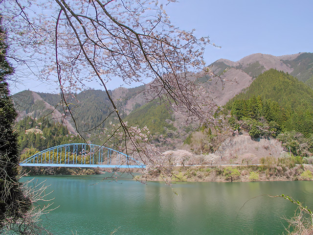 豊根大橋