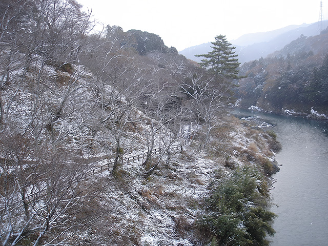 冬の桜淵公園