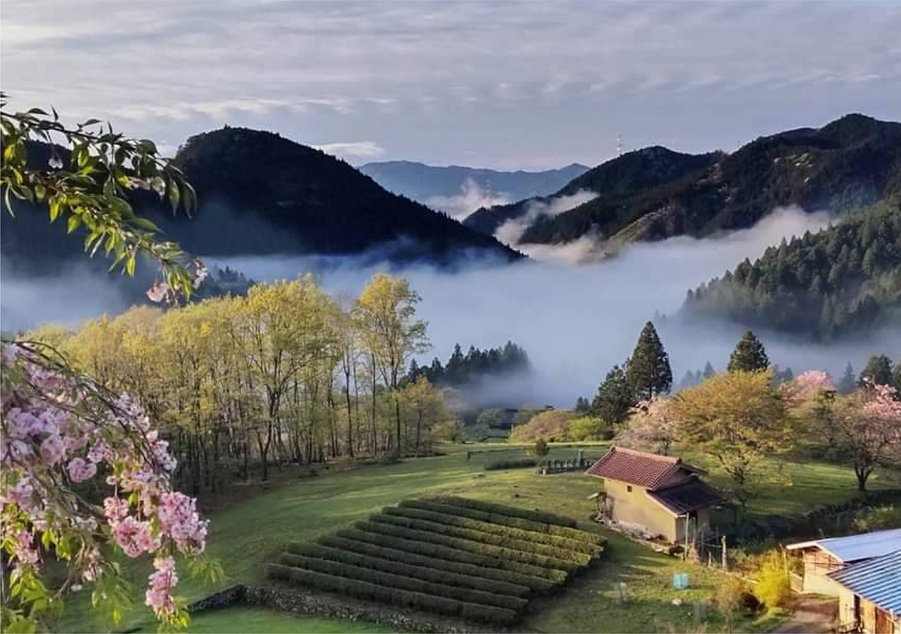 山里の風景
