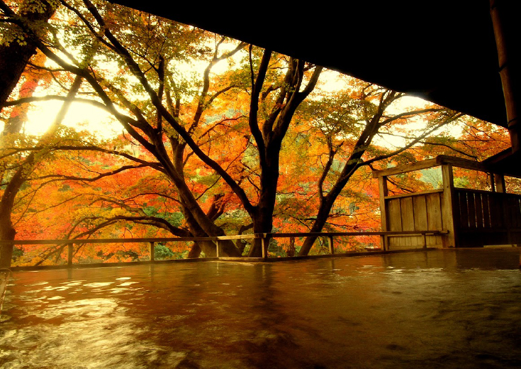 拠点湯谷温泉の魅力を写した写真