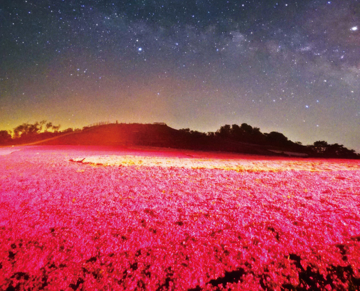 夜の茶臼山高原の写真