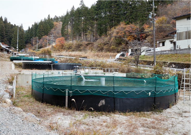 養殖場の水槽