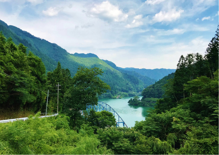 新緑と川