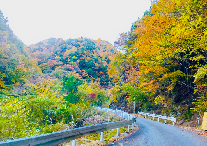 道路沿いの紅葉