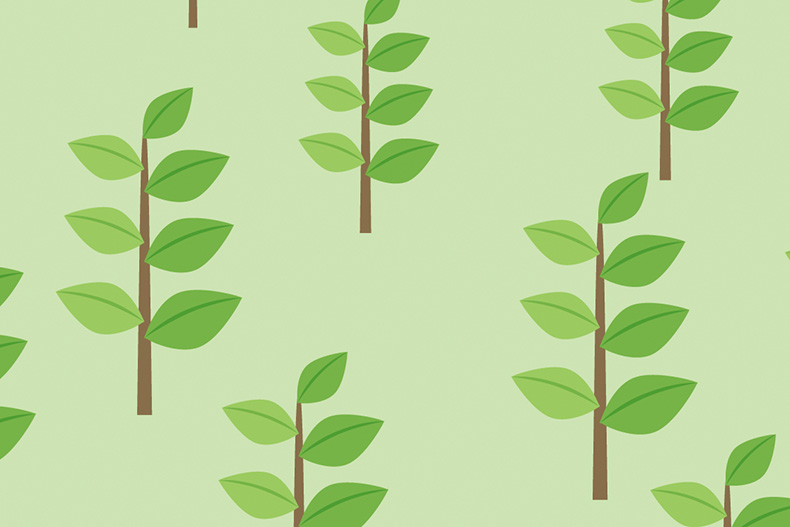 植林の図