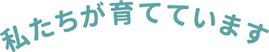 わたしたちが育てています