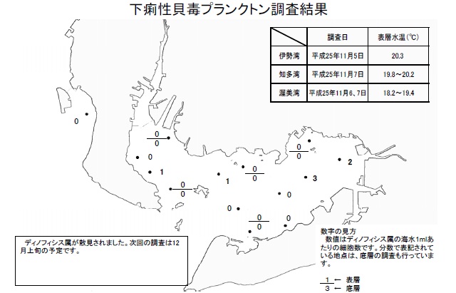 下痢性貝毒原因プランクトン調査結果（平成25年11月7日） 