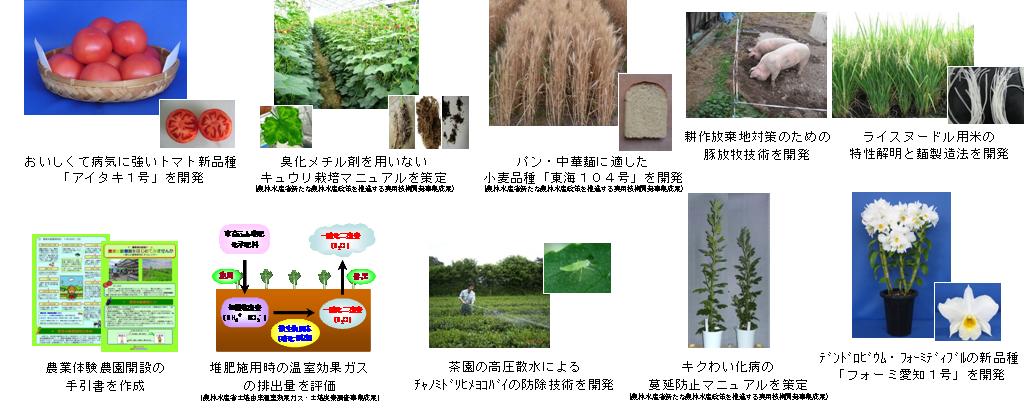 2012年愛知県農業総合試験場の10大成果一覧
