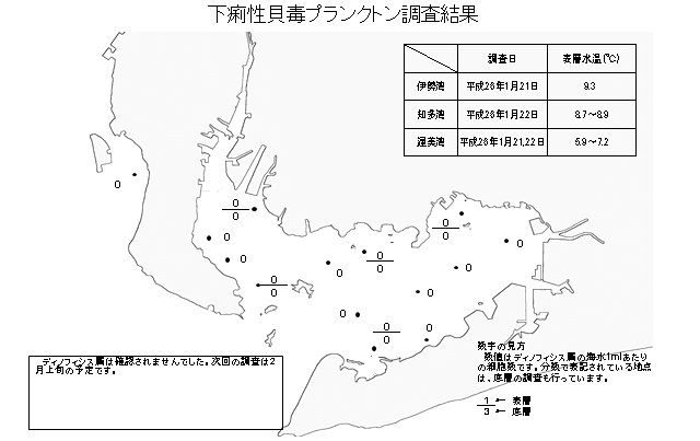 下痢性貝毒原因プランクトン調査結果（平成26年1月22日） 