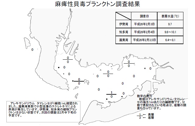 麻痺性貝毒原因プランクトン調査結果（平成26年2月5日）