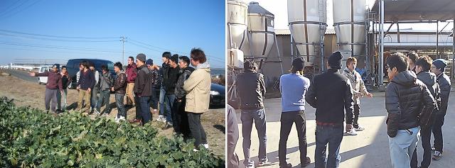 現地視察の様子(左:ブロッコリー、右:酪農)