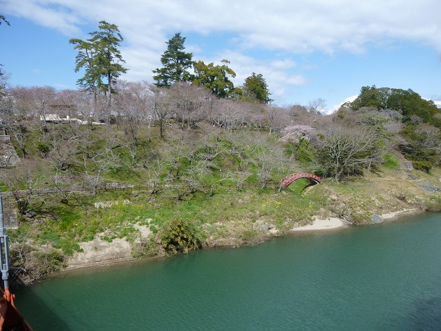 桜淵公園6