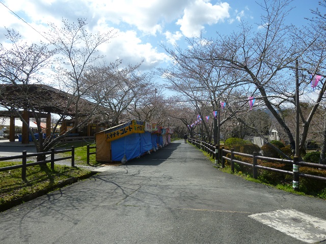 桜淵公園7