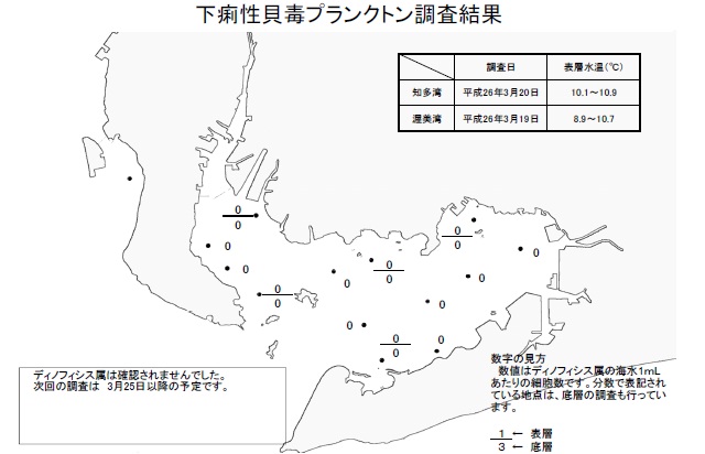 下痢性貝毒原因プランクトン調査結果（平成26年3月19～20日） 