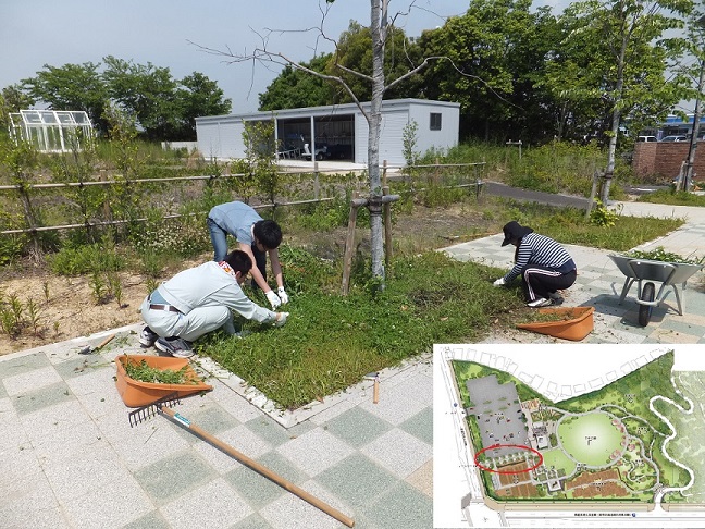植え込み1