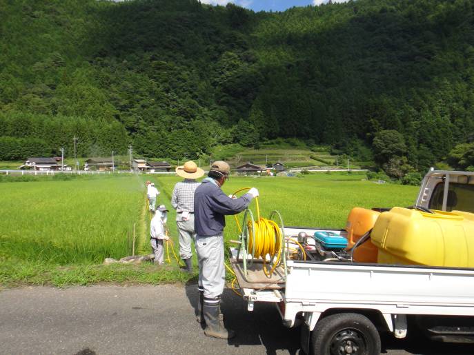 農業生産活動の体制整備（機械・農作業の共同化）の様子