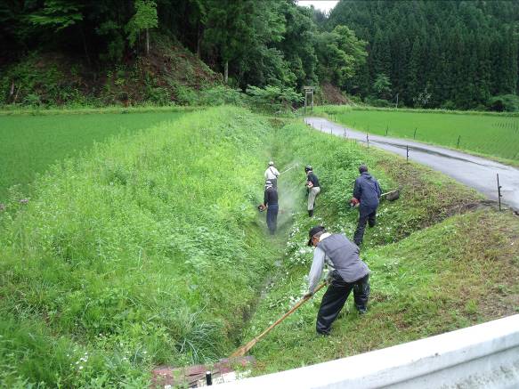 耕作放棄を防止する活動（農地法面の草刈り）の様子