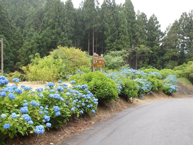 設楽町平山地内