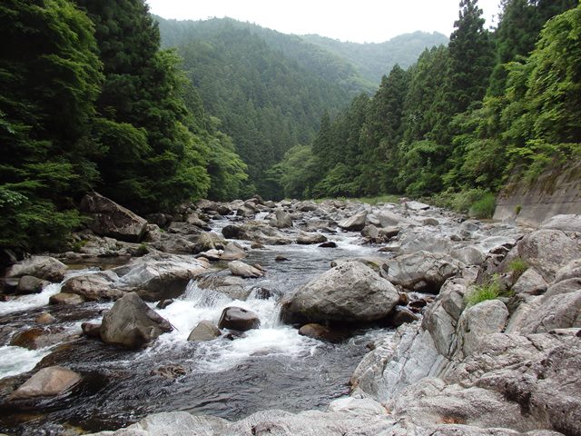 寒狭川の様子