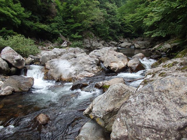 寒狭川の様子