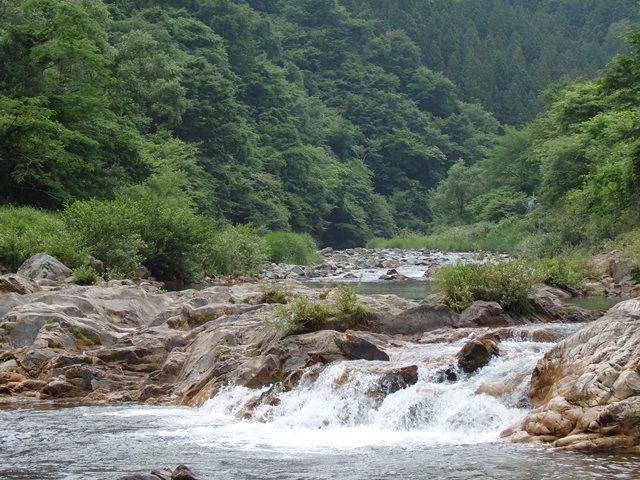 大入川の様子