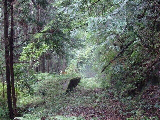 三河大草駅跡