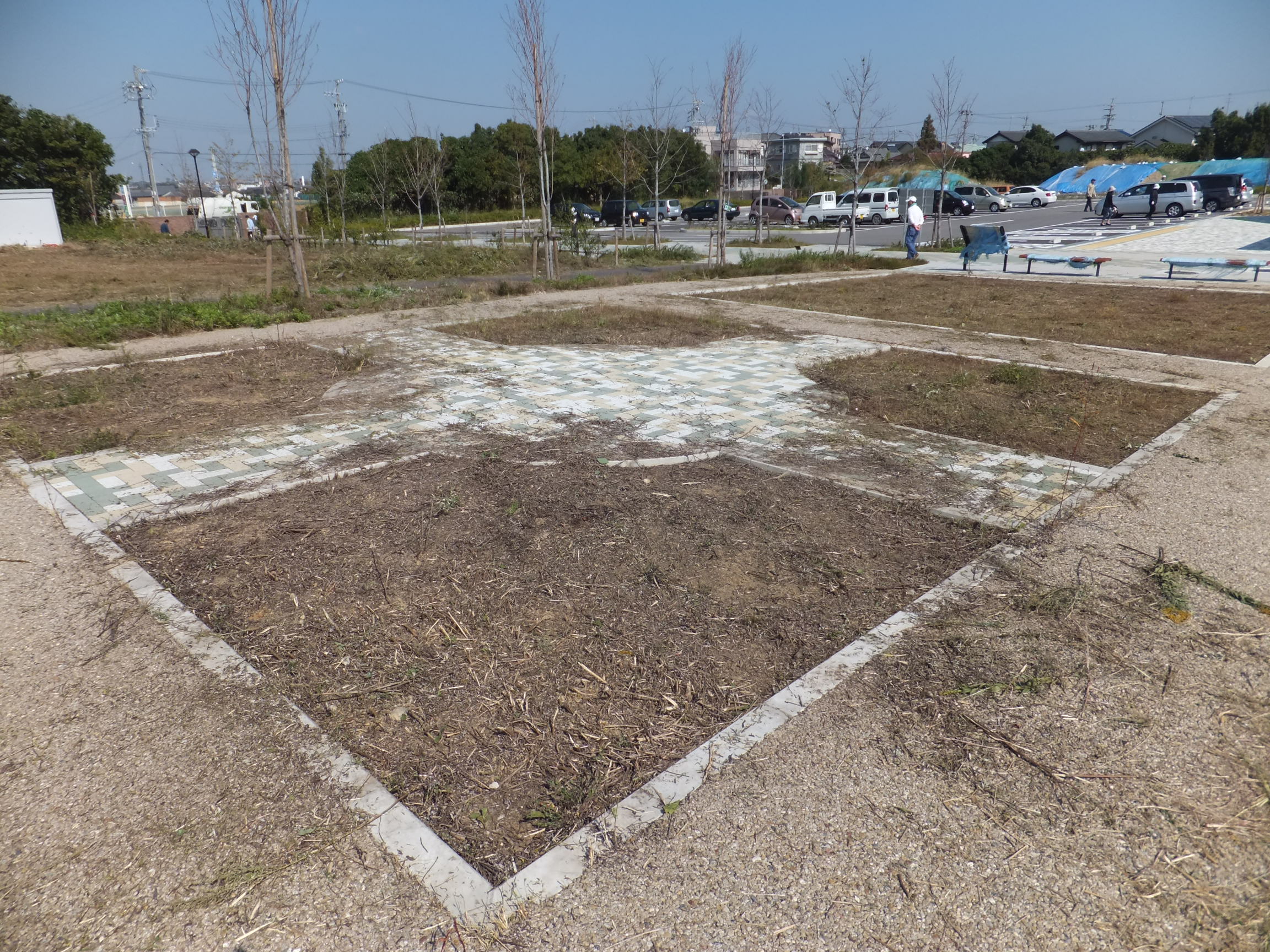 ハーブ園（10月19日）