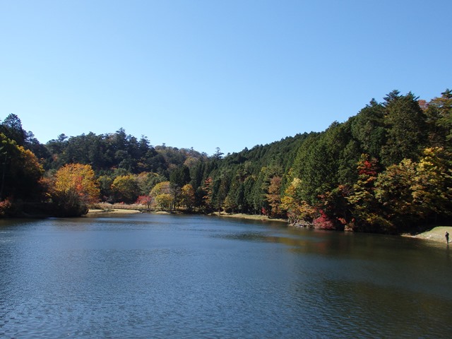 段戸湖全景