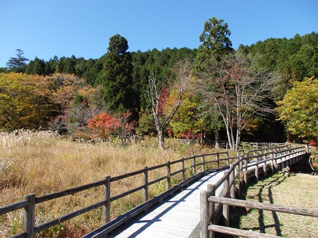 遊歩道