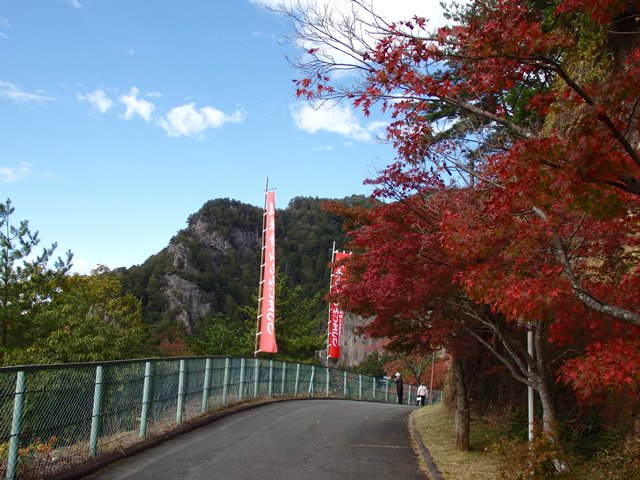 深紅に色付いています。