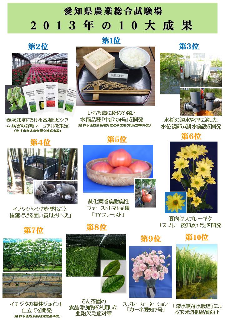 2013年愛知県農業総合試験場の10大成果一覧