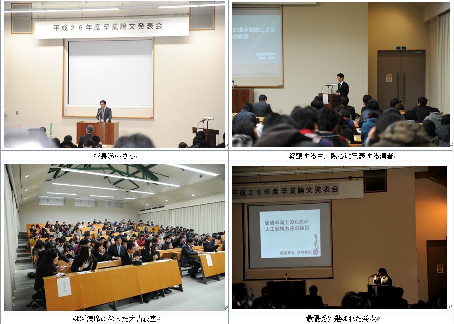 発表会の様子　